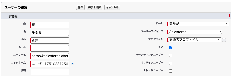 Salesforceのユーザー編集画面。そらおという名前で、開発部ロールとSalesforceライセンスが設定されている。